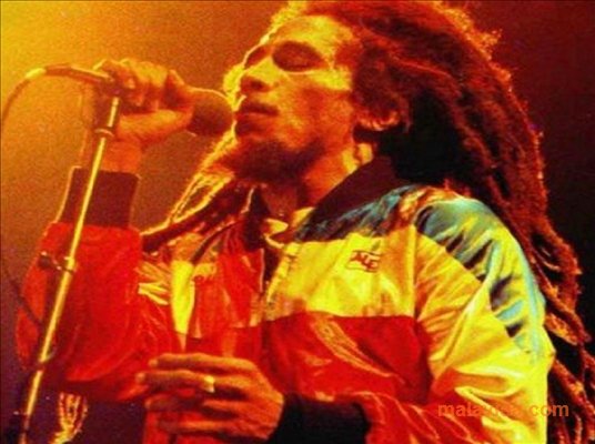 Bob Marley Screensaver App Preview