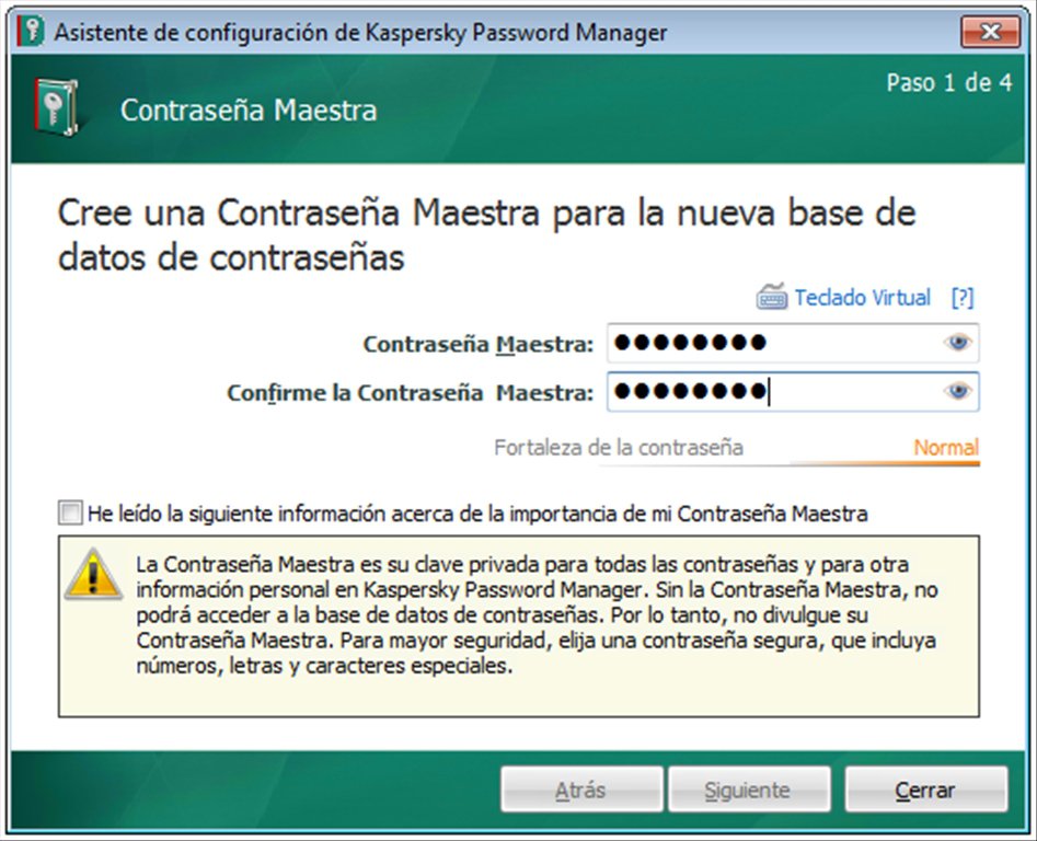 review kaspersky password manager