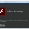 Adobe Flash Player Debugger (IE)